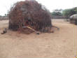 Kenya/DSCF3519.JPG