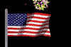 fireworks-flag.gif